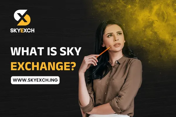 What is Sky Exchange